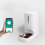 4L automatic dog and cat feeder