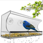 Clear acrylic window bird feeder for bird watching