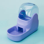Cat water feeder for convenient indoor pet hydration