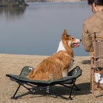 Elevated folding dog bed for camping and outdoor use