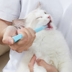 Pet tablet feeder for easier medication