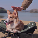 Portable elevated dog bed for travel and camping