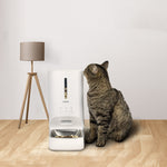 Smart WiFi automatic pet feeder for dogs and cats